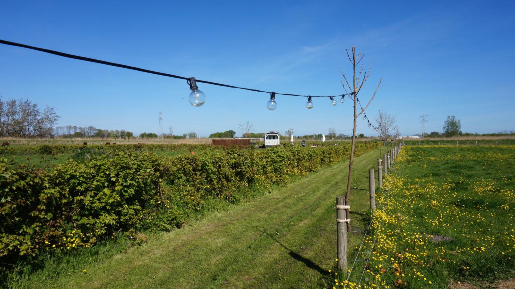 Bed And Breakfast Het Schapenlandje Waarland Esterno foto